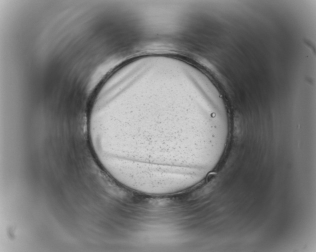 X0000102291461200808151941