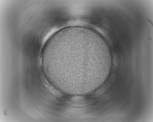 X0000102291462200808151941