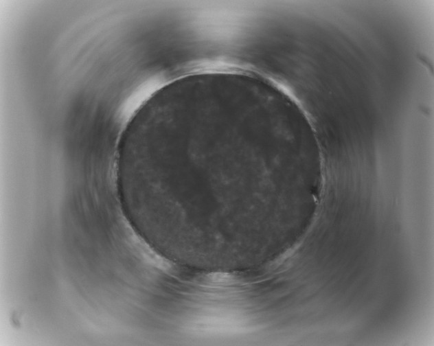 X0000102291463200808151941