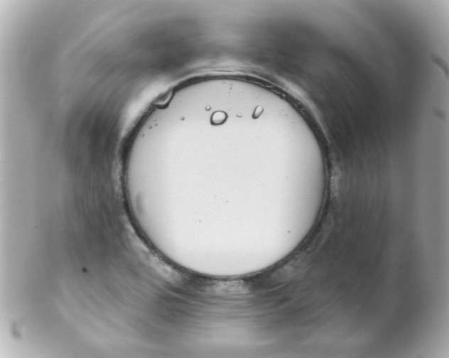 X0000102291464200808151941