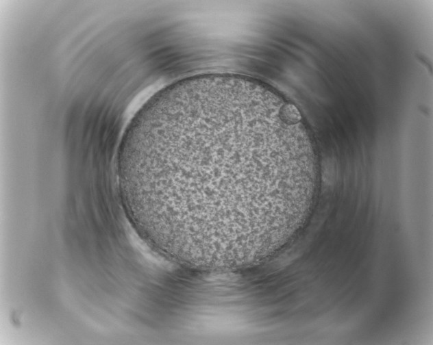 X0000102291466200808151941