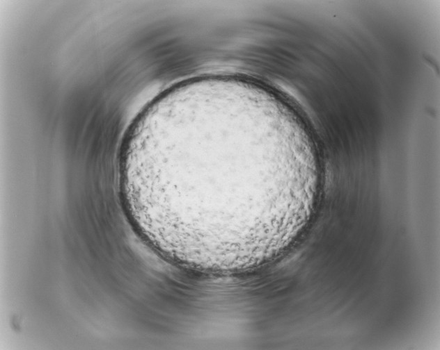 X0000102291467200808151941