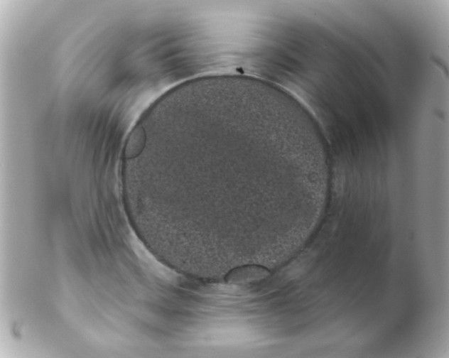 X0000102291468200808151941