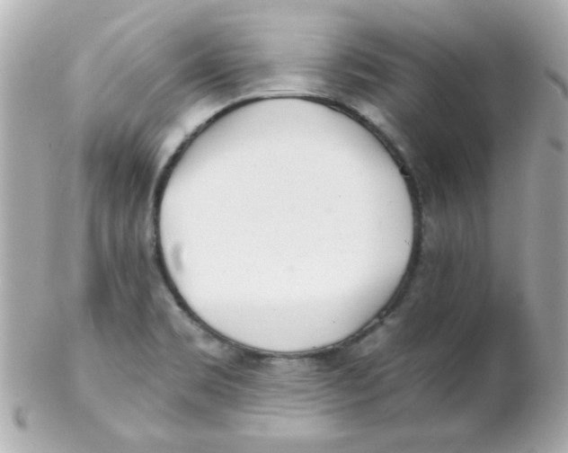 X0000102291469200808151941