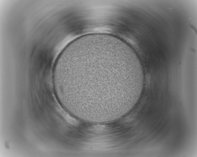 X0000102291470200808151941