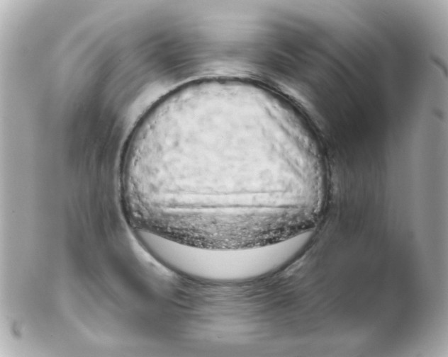 X0000102291471200808151941