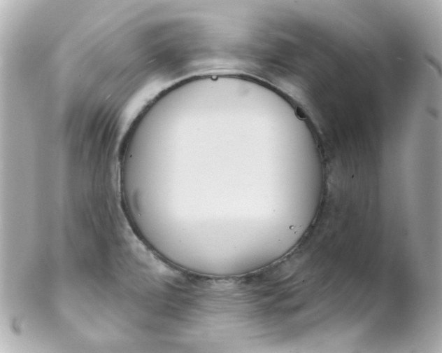 X0000102291472200808151941