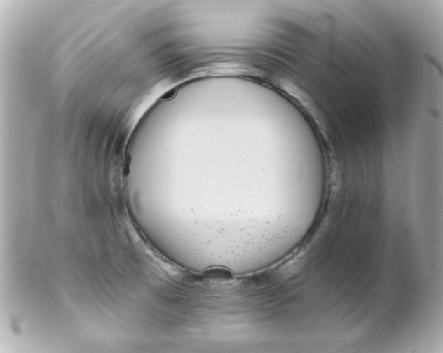 X0000102291473200808151941