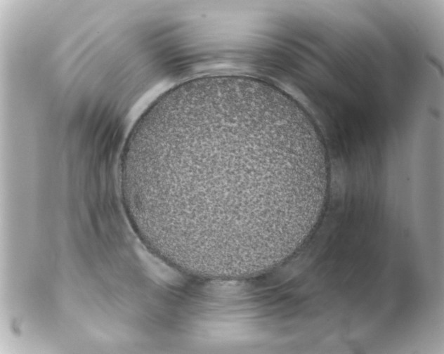 X0000102291474200808151941