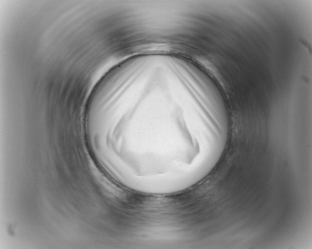 X0000102291475200808151941