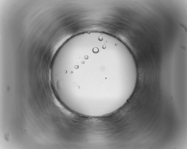 X0000102291476200808151941