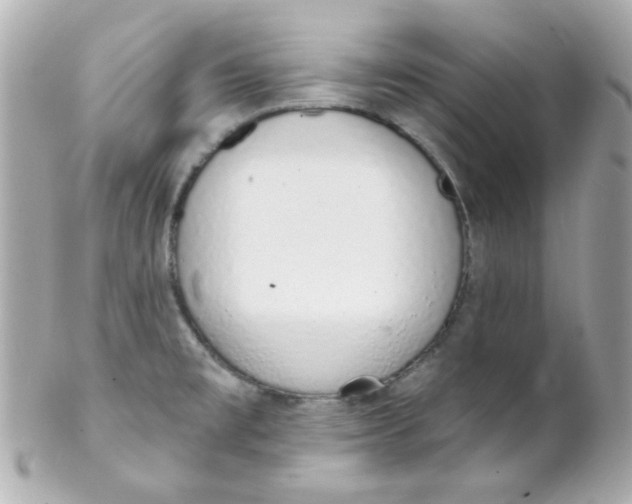 X0000102291477200808151941