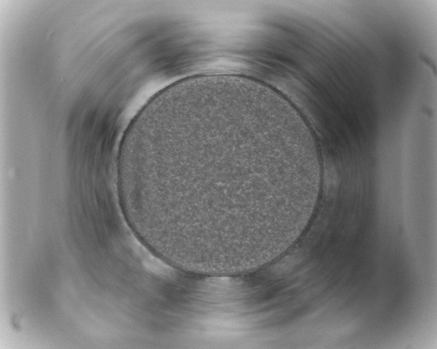 X0000102291478200808151941