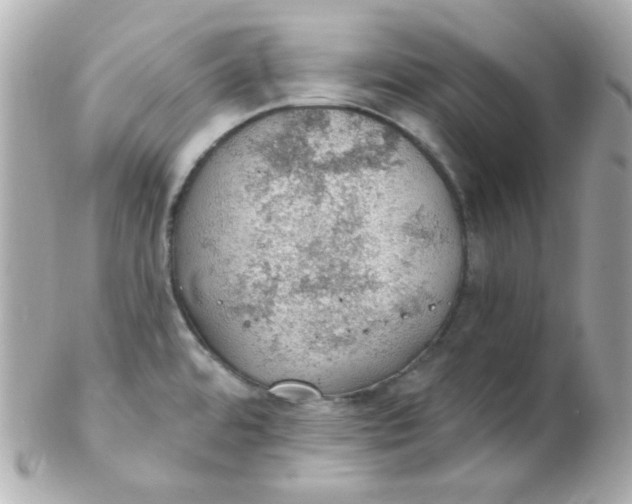 X0000102291480200808151941