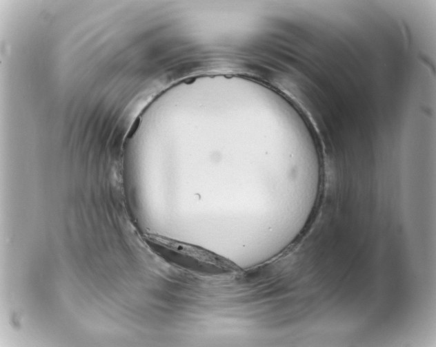 X0000102291481200808151941