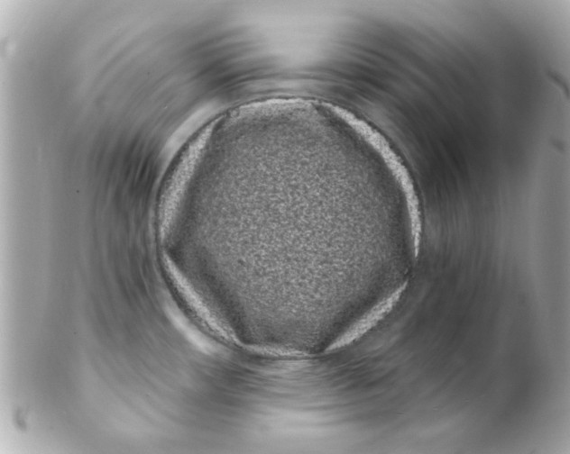 X0000102291482200808151940