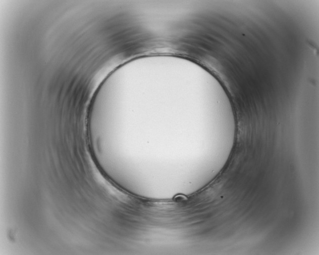 X0000102291483200808151940