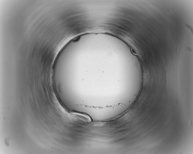 X0000102291484200808151940