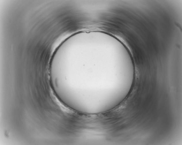 X0000102291485200808151940