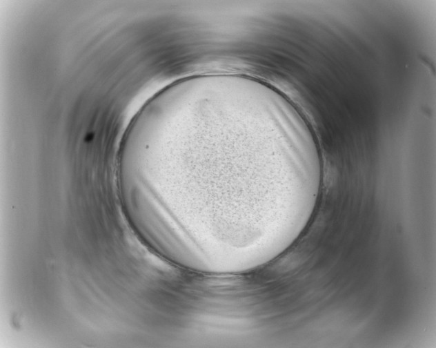 X0000102291486200808151940