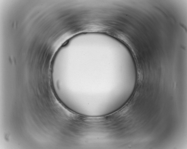 X0000102291487200808151940