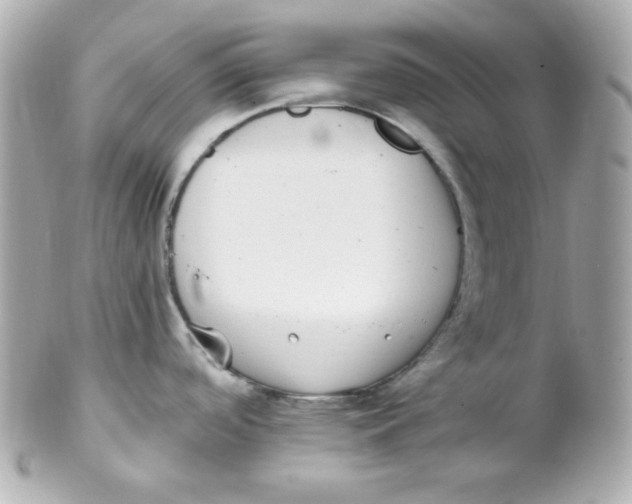 X0000102291488200808151940