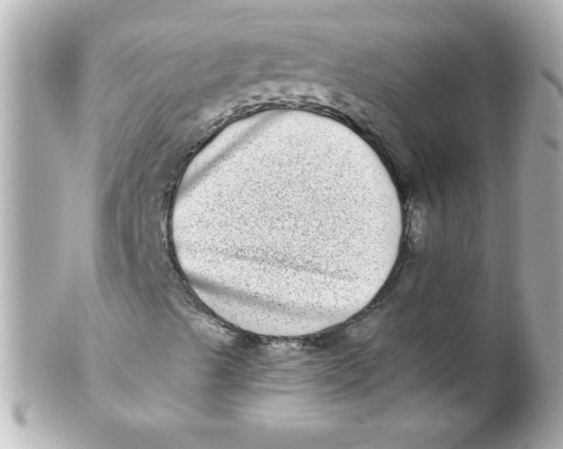 X0000102291489200808151939