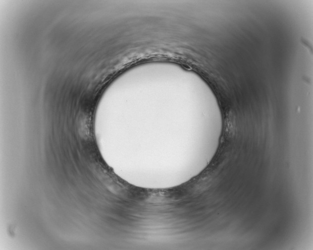 X0000102291490200808151940