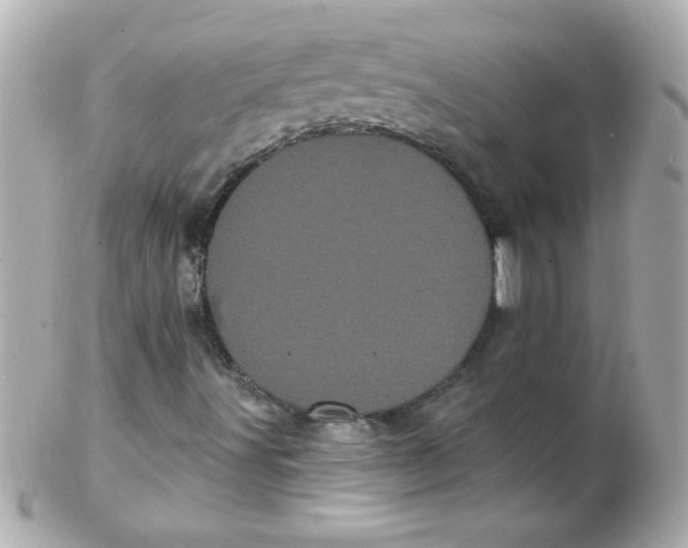 X0000102291491200808151940