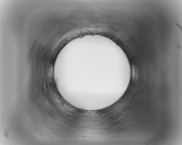 X0000102291492200808151940