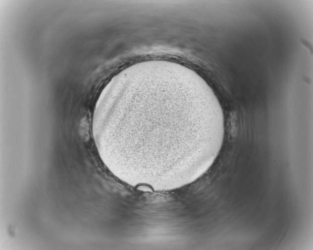 X0000102291493200808151940