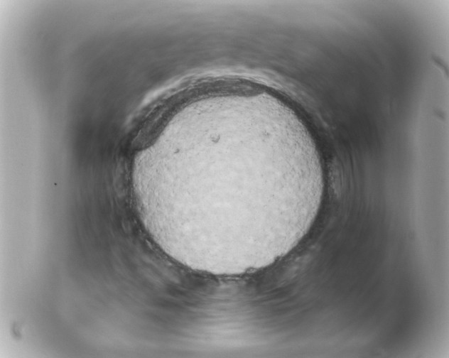 X0000102291494200808151940