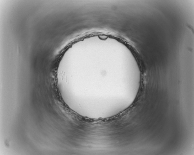 X0000102291496200808151940