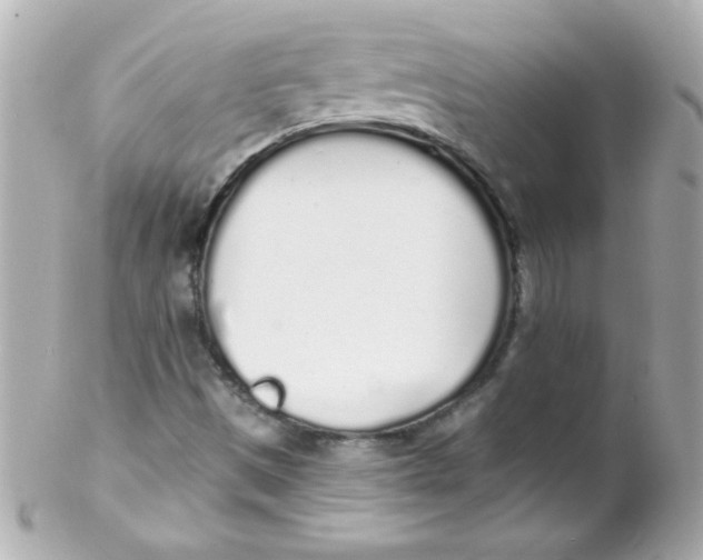 X0000102291497200808151940