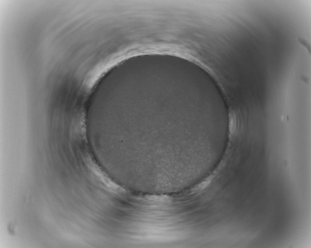 X0000102291498200808151940