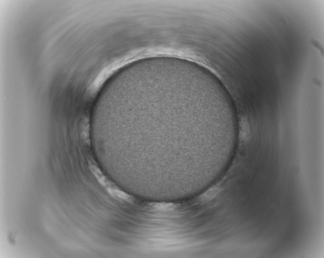 X0000102291499200808151940