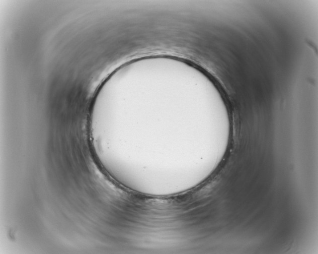 X0000102291500200808151940