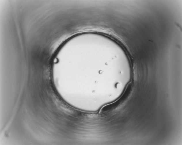 X0000102291501200808151940