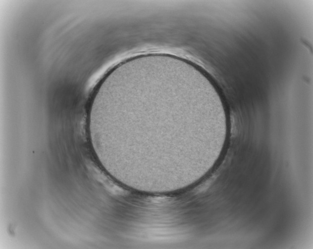 X0000102291502200808151940