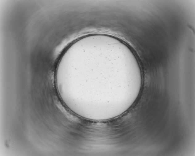 X0000102291503200808151940