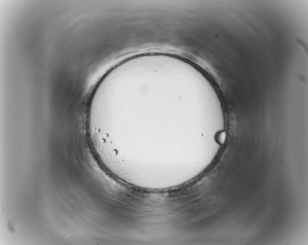 X0000102291504200808151940