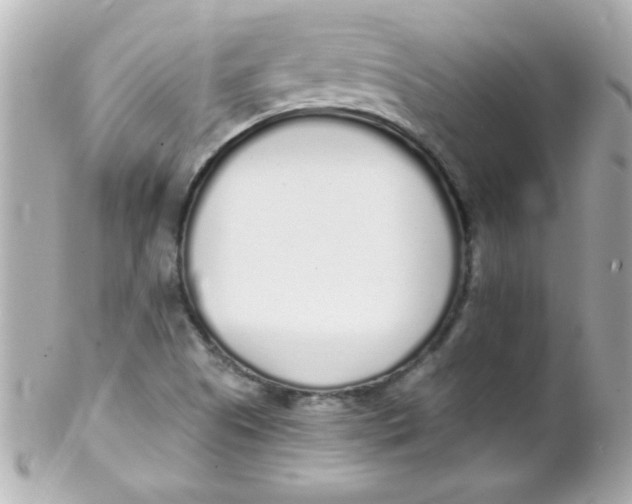 X0000102291505200808151940