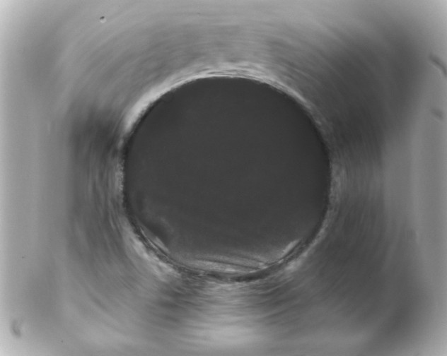 X0000102291506200808151940