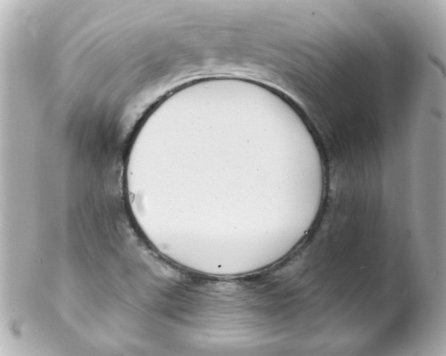 X0000102291507200808151940