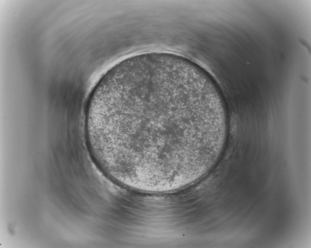 X0000102291508200808151940