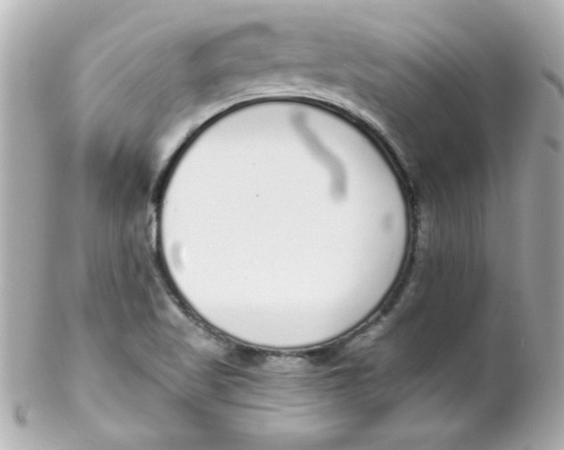 X0000102291509200808151940