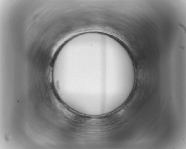 X0000102291510200808151940