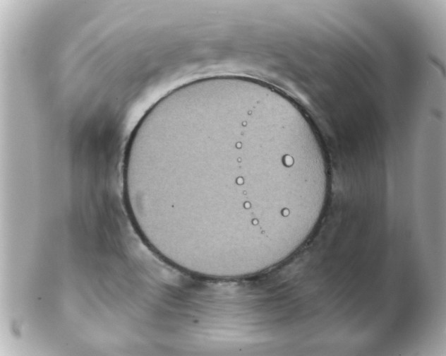 X0000102291512200808151940