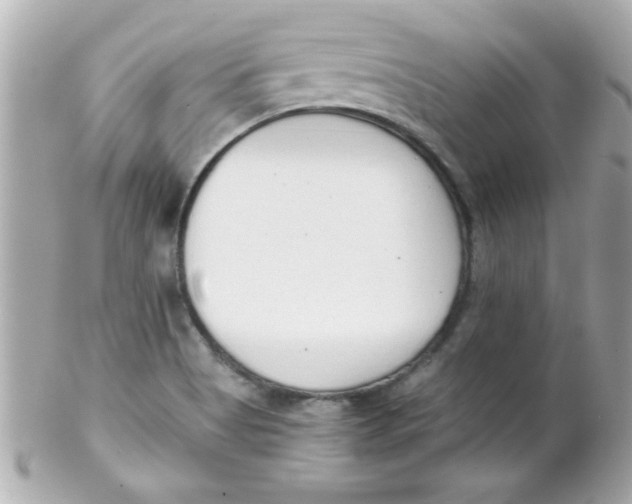 X0000102291513200808151940