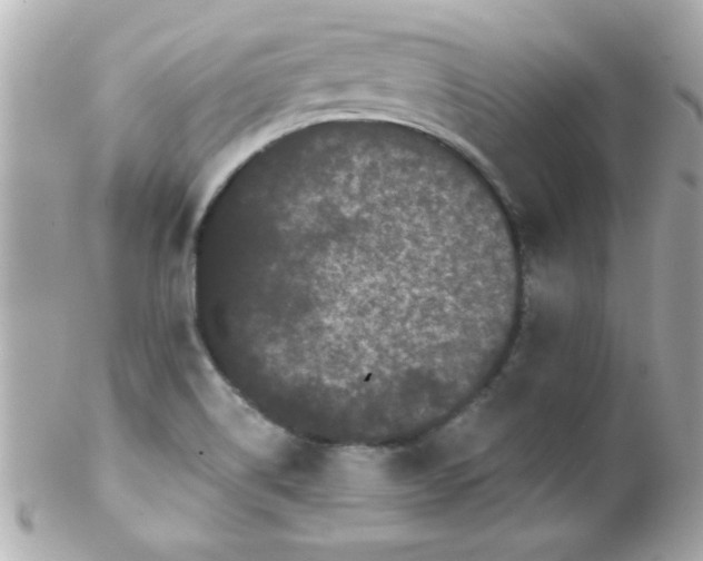 X0000102291514200808151940